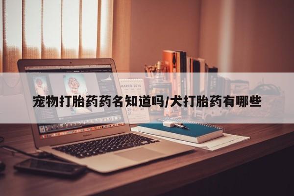 药流药网上购买宠物打胎药药名知道吗/犬打胎药有哪些