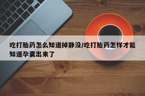 药流药网上购买吃打胎药怎么知道掉静没/吃打胎药怎样才能知道孕囊出来了