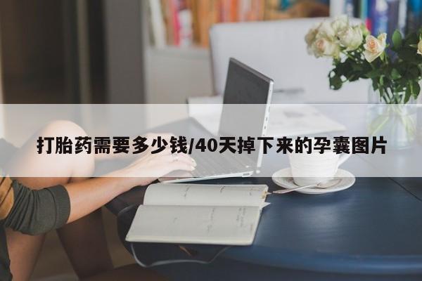 药流药网上购买打胎药需要多少钱/40天掉下来的孕囊图片